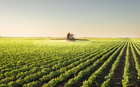 2020國內(nèi)知名農(nóng)業(yè)獵頭公司有哪些？